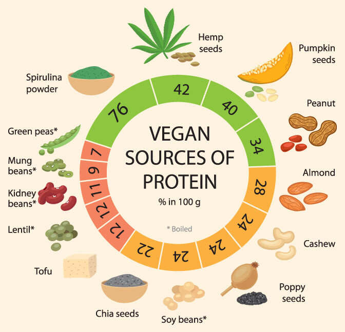 proteins healthy food for weight loss